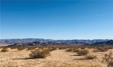 46 Desert Lily Street, Joshua Tree, California 92252, ,Land,Buy,46 Desert Lily Street,JT25002651