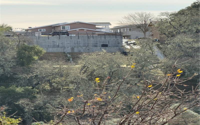 Looking through the greenbelt at the back of the houses foundation