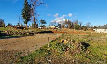 1441 Wolf Lane, Paradise, California 95969, ,Land,Buy,1441 Wolf Lane,PA25003281