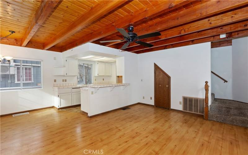 LIVING ROOM/DINING AREA/KITCHEN