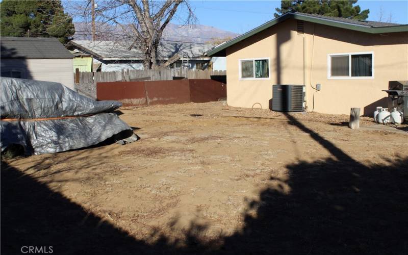 Backyard Southwest corner view