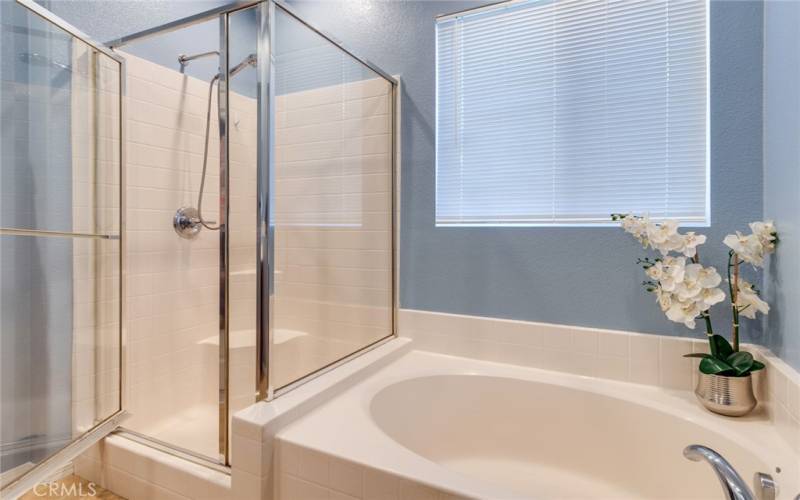 Primary Bathroom with Soaking Tub and Separate Shower