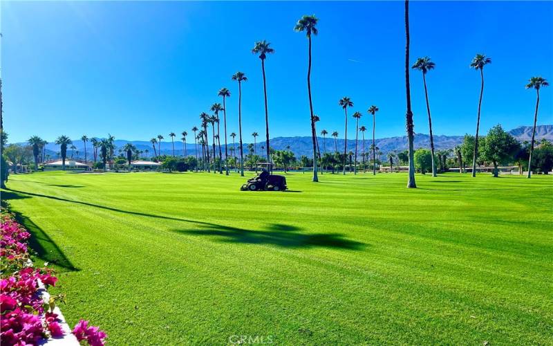 7th Fairway looking South