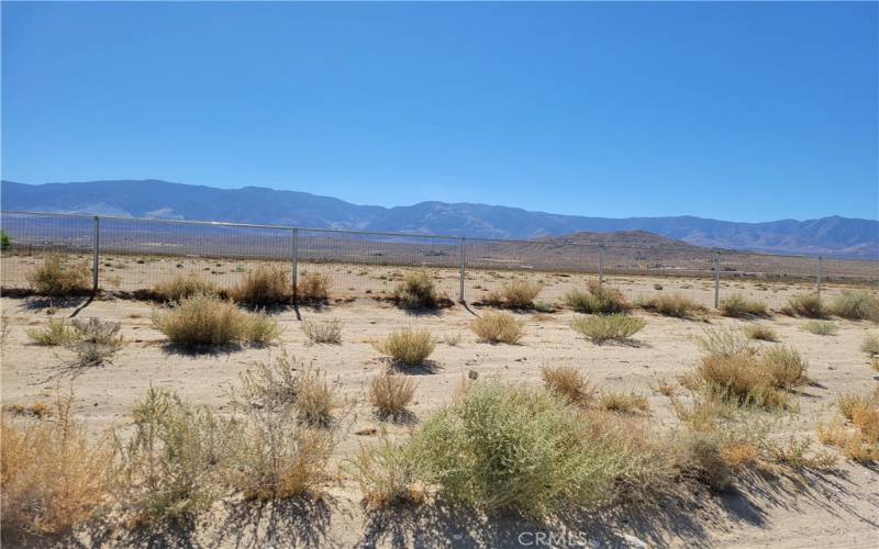 View to the south from the property.