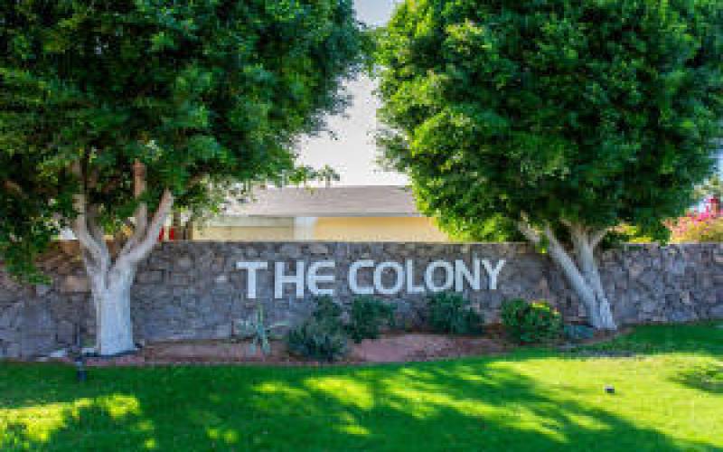 The Colony