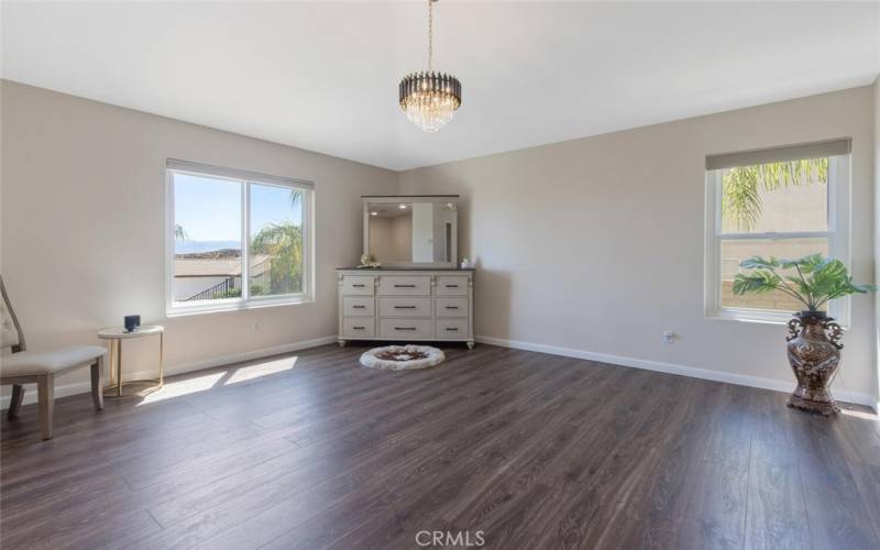 Primary Bedroom with views