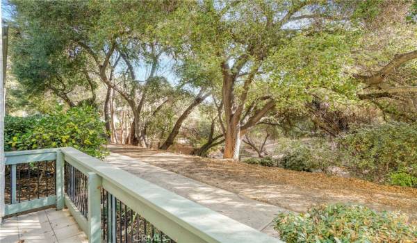 Patio with view of the Creek