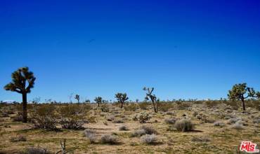 0 Yucca Mesa Road, Yucca Valley, California 92284, ,Land,Buy,0 Yucca Mesa Road,25477991