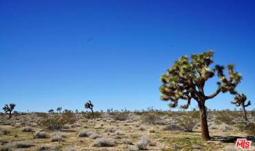 0 Yucca Mesa Road, Yucca Valley, California 92284, ,Land,Buy,0 Yucca Mesa Road,25477979