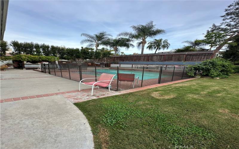 Enclosed backyard view