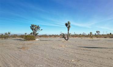 1 Fremontia RD, Whitewater, California 92282, ,Land,Buy,1 Fremontia RD,CV25005367