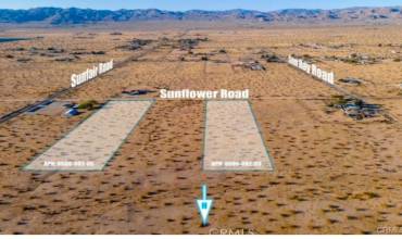 0 Sunflower Road, Joshua Tree, California 92252, ,Land,Buy,0 Sunflower Road,JT25003461