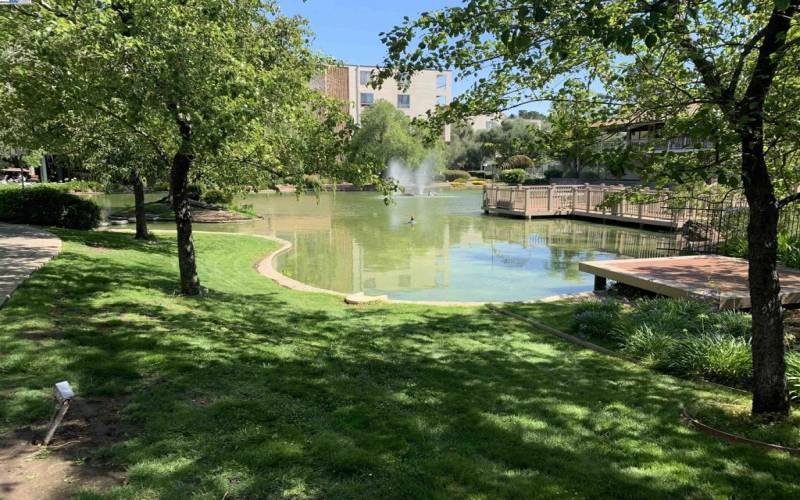 Pond & Landscaped Grounds