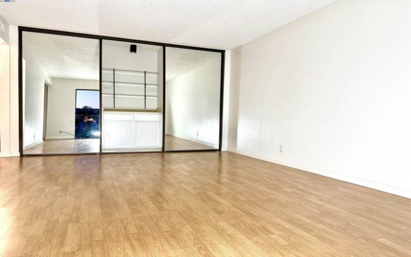 Great Room & Mirrored Cabinet/Closet