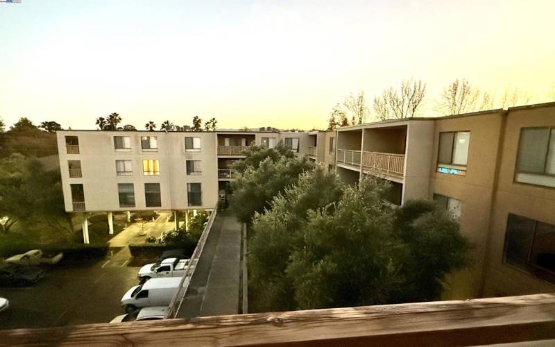 Balcony Looking South