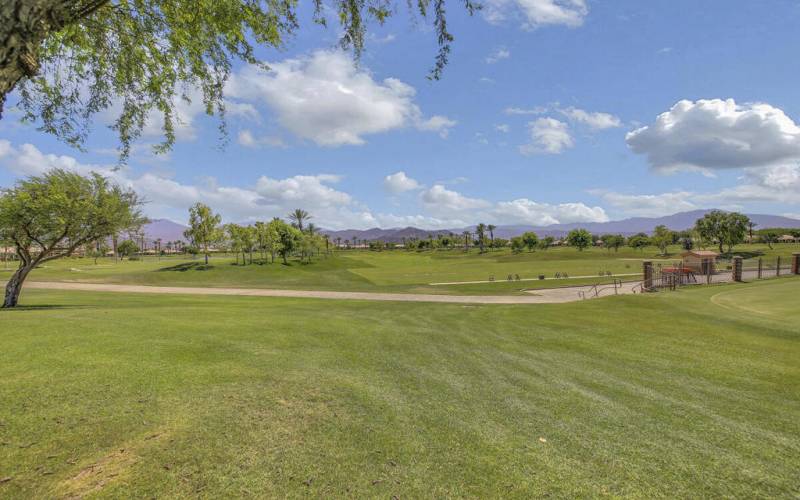 38 GOLFCOURSE MLS SIZE