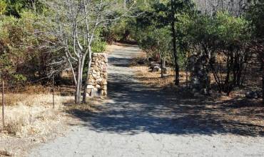 5298 Pine Hills Rd., Julian, California 92036, ,Land,Buy,5298 Pine Hills Rd.,250000596SD