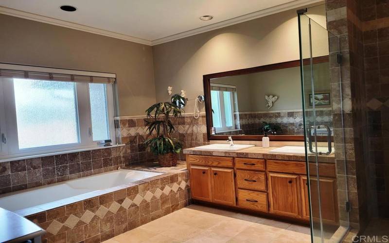 Master Bath with Tub and Walk In Shower