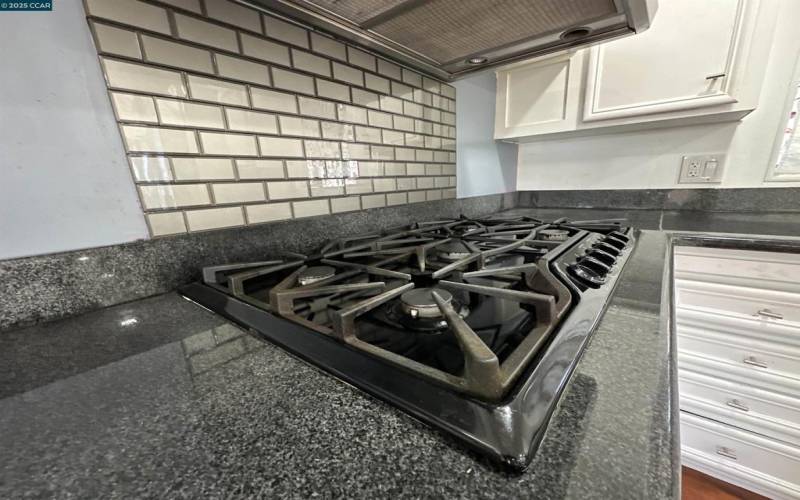 Gas Stove