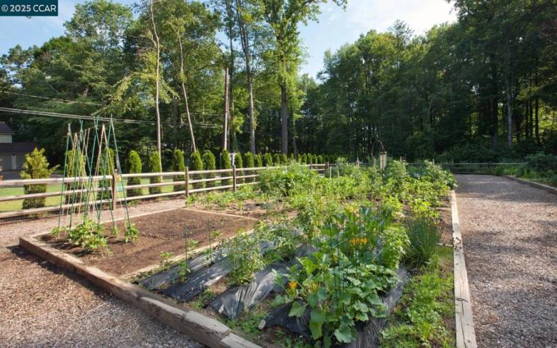 Community Garden