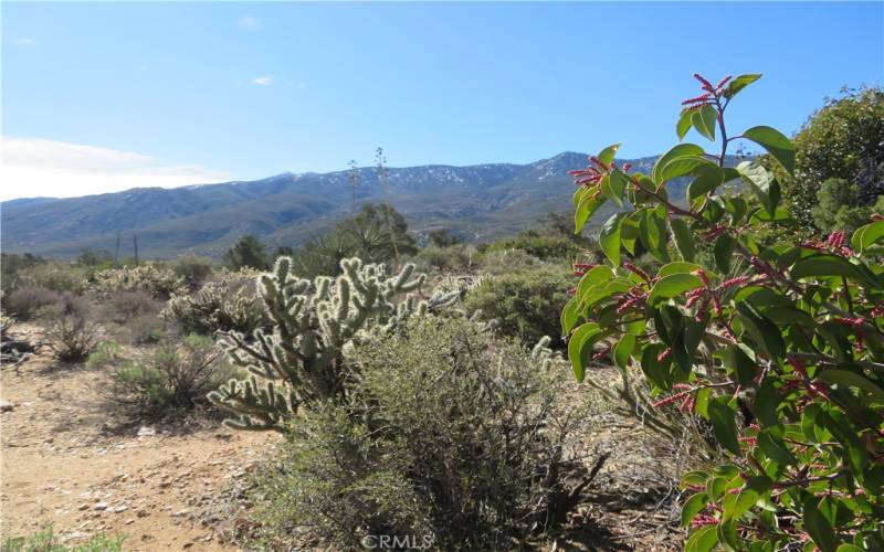 South towards Santa Rosa