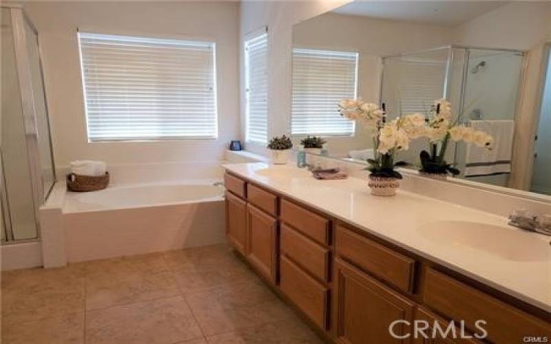 Primary Upstairs Bedroom-Dual Sinks, Soaking Tub and Separate Shower