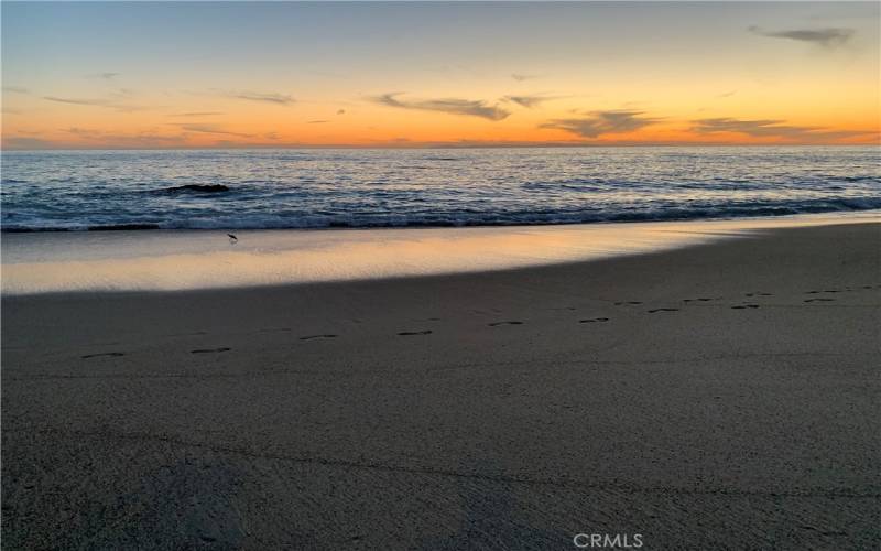 West St & Camels Beach with Access to Aliso Beach