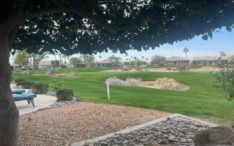 View of golf course with too much tree