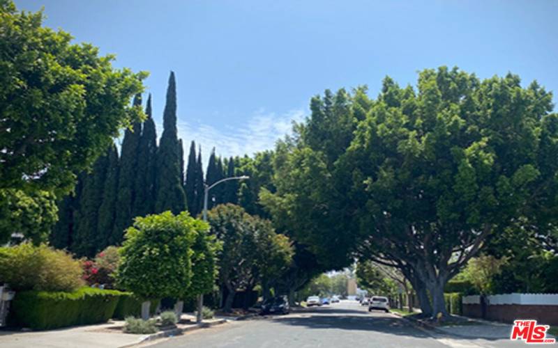 Beautiful quiet street