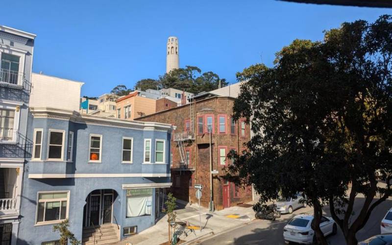 View of Coit tower from the living room.