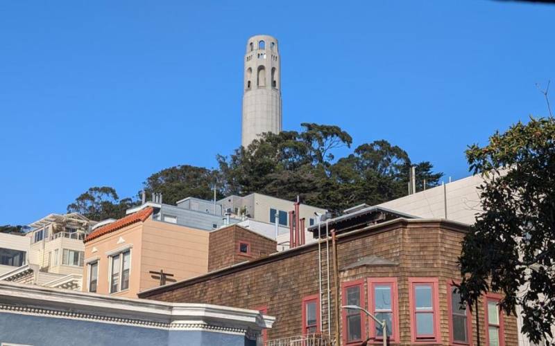 View of Coit tower from the living room.