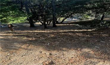 267 Wylerhorn Drive, Crestline, California 92325, ,Land,Buy,267 Wylerhorn Drive,RW25007433