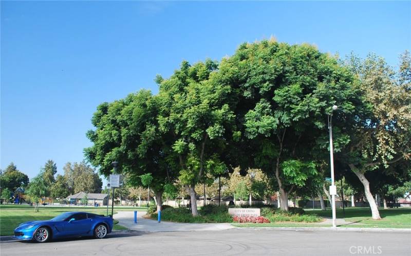 Typical Chino Park, Shady Grove Park