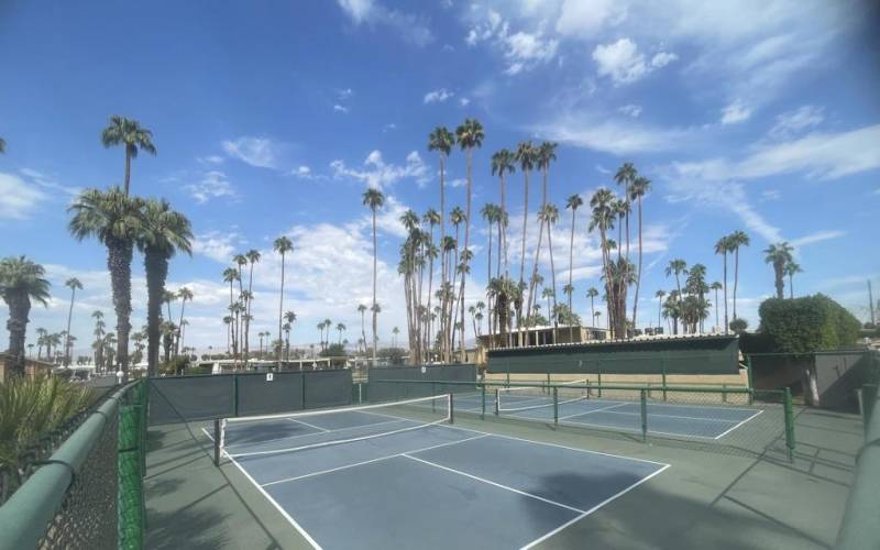 Community Pickleball Courts