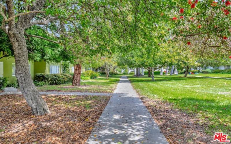 Live inside an urban forest