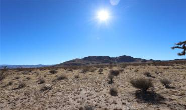 60734 Granville Road, Joshua Tree, California 92252, ,Land,Buy,60734 Granville Road,IG25008816