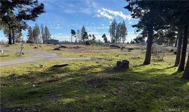 13726 Endicot Circle, Magalia, California 95954, ,Land,Buy,13726 Endicot Circle,SN25006672