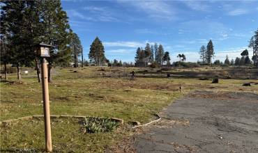 13718 Endicot Circle, Magalia, California 95954, ,Land,Buy,13718 Endicot Circle,SN25006665