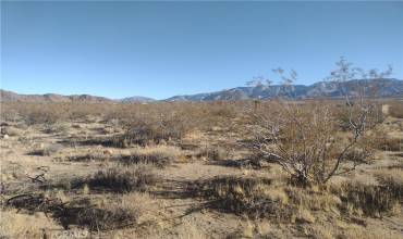 10 Banta Road, Lucerne Valley, California 92356, ,Land,Buy,10 Banta Road,HD25009264