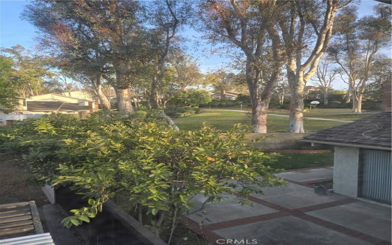 View out the Master Bedroom Window of Community Park behind the home

