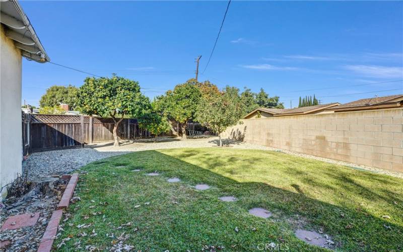 Large Yard with Fuji Apple, Lemon, Grapefruit and Navel Orange Trees