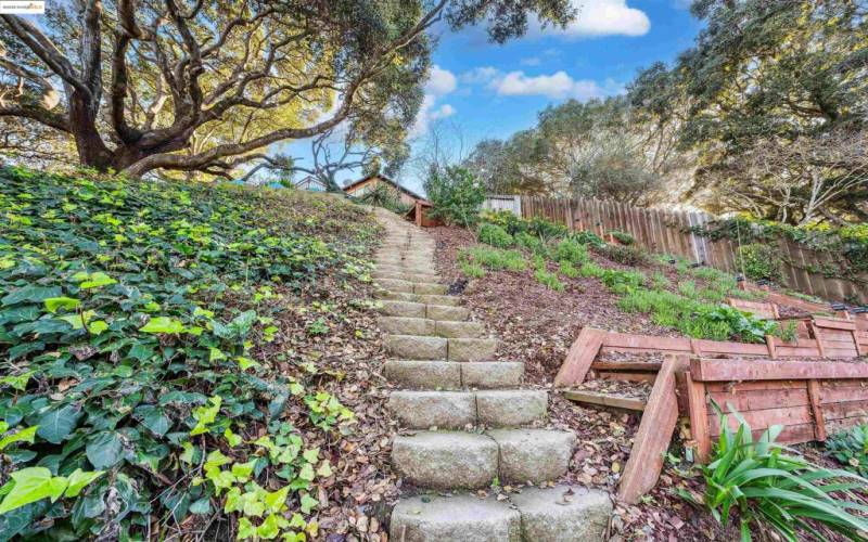 Backyard surrounded by nature's serenity.