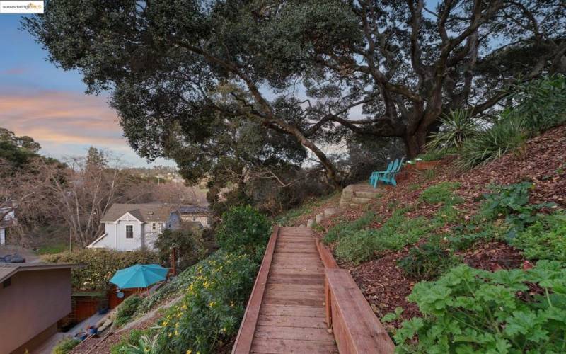 Backyard surrounded by nature's serenity.