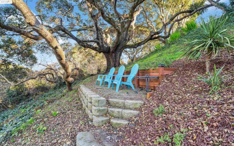 Backyard surrounded by nature's serenity.