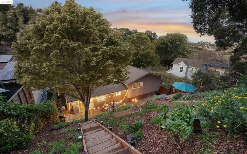 Backyard surrounded by nature's serenity.