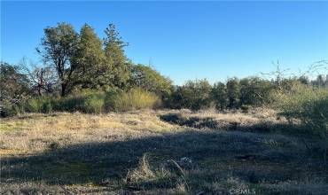 3460 Skycrest Drive, Oroville, California 95965, ,Land,Buy,3460 Skycrest Drive,OR25010322