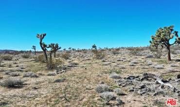 0 Rice Avenue, Joshua Tree, California 92252, ,Land,Buy,0 Rice Avenue,25483765