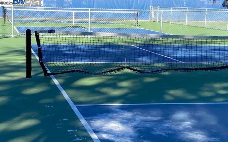 Pickleball Court