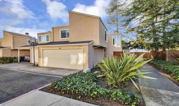 27739 Pistachio Ct, Hayward, California 94544, 3 Bedrooms Bedrooms, ,2 BathroomsBathrooms,Residential,Buy,27739 Pistachio Ct,41080700