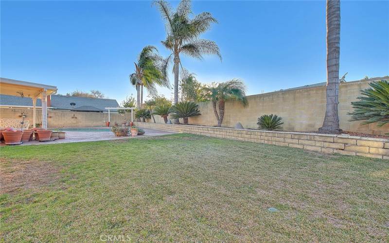 Large Grass Area in Rear Yard. Block wall Fencing and Planters.